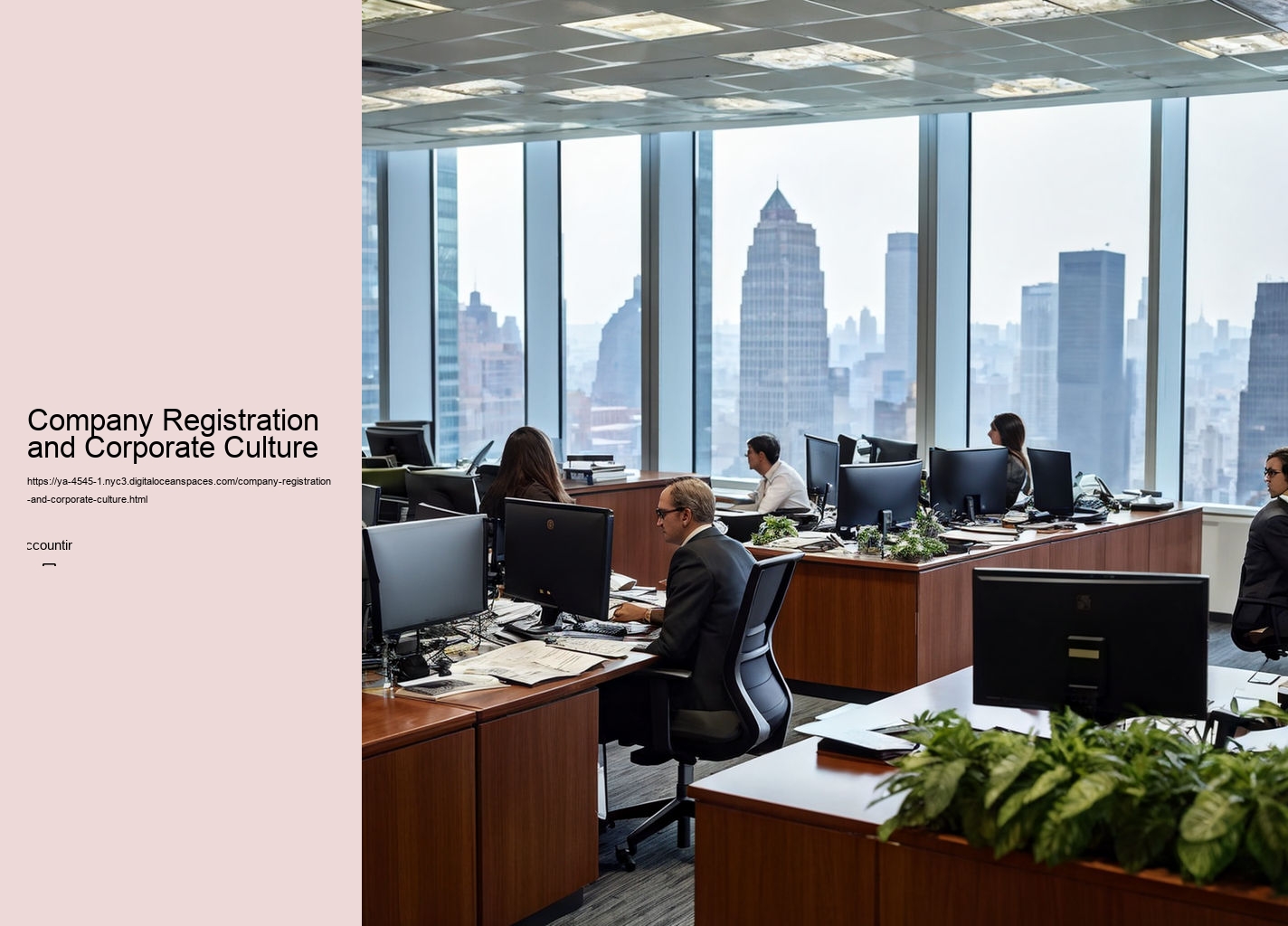 Company Registration and Corporate Culture